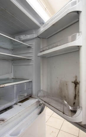 Old refrigerator with mildew and mold on the inside.